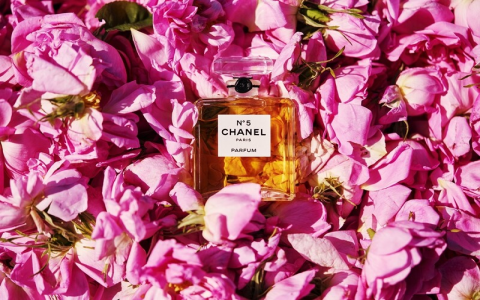 香奈儿5号香水哪款最好闻又持久？内行人告诉你答案！