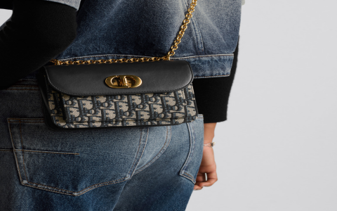 迪奥包包官网图片哪里有？达人教你怎么找全！