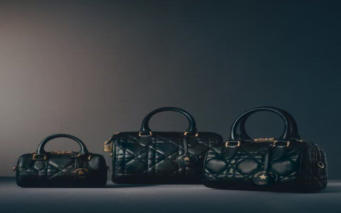 迪奥包包所有款式都在这了！帮你选到Dream Bag！