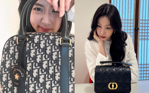 迪奥包包全部款式有哪些？看完这篇你就知道了！