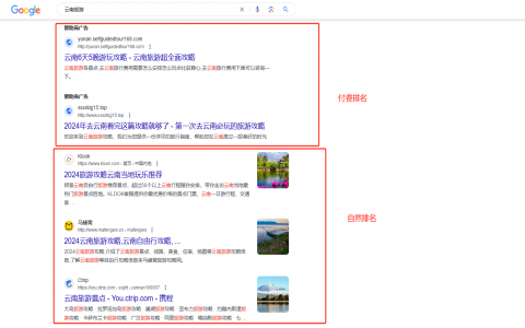 sem推广公司哪家好？对比这几家帮你做决定！