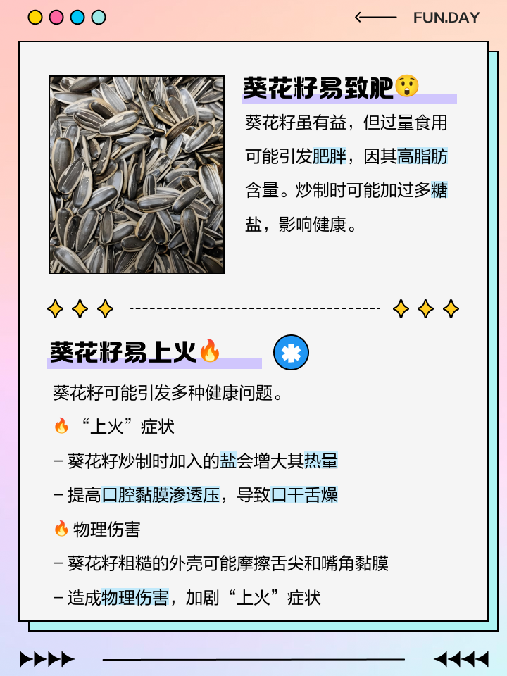 廣佛葵花籽典怎麼用？資深玩家分享使用心得!