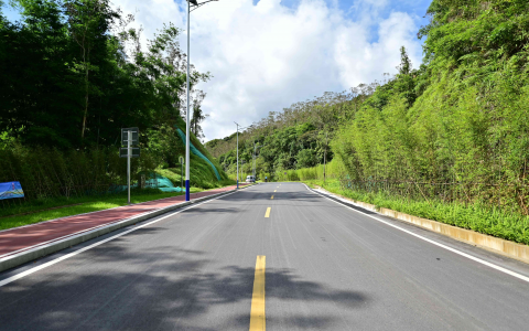 想找佛山98場優質服務嗎？真實體驗報告分享讓你少走彎路