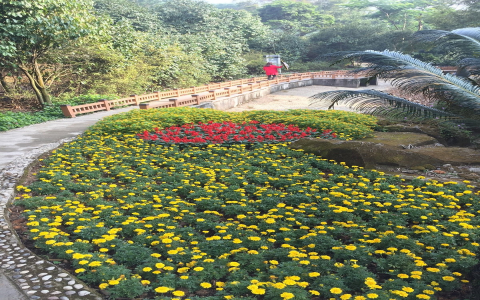 佛山洗浴中心排名公開!這幾家豪華會所CP值最高