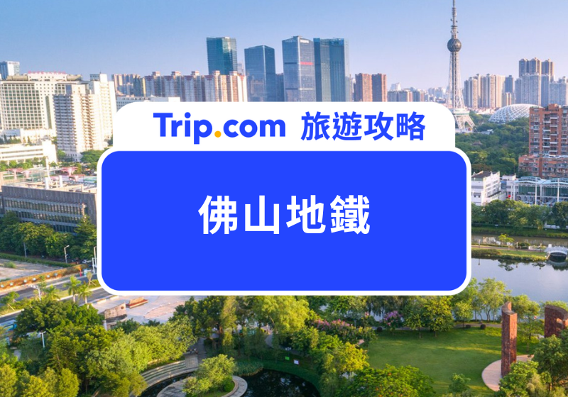 佛山里水頤豪水會在哪裏？交通路線與地址導航!