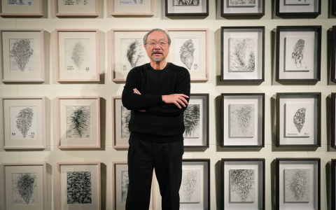 廣州水會按摩論壇評價如何？真實用戶心得分享給你參考!